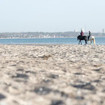 Wohnpark Am Muehlenteich - 17 蒂门多弗施特兰德