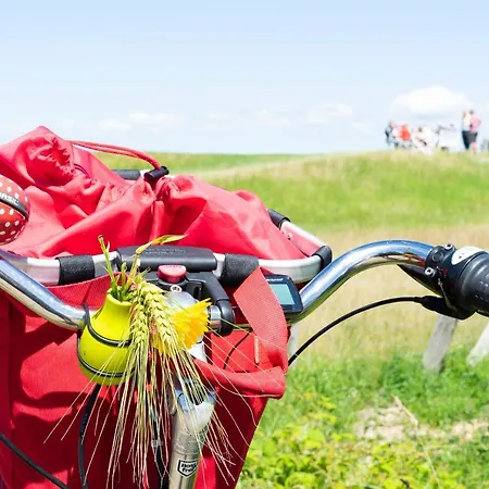 Wohnpark Am Muehlenteich - 17 公寓 *